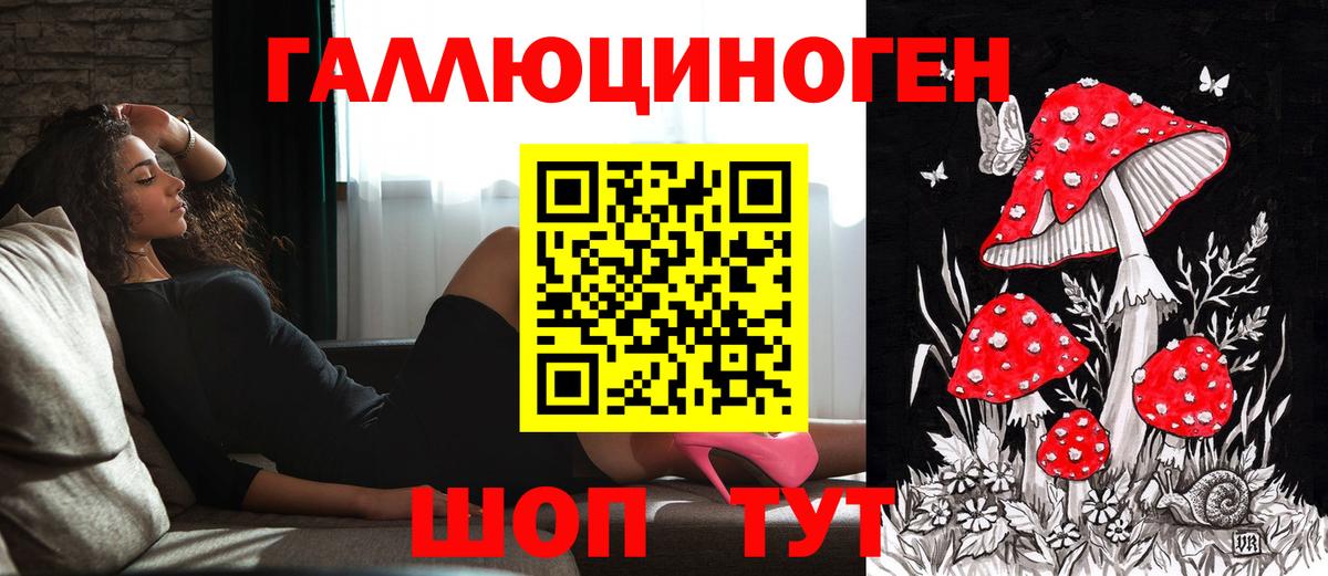 Тула  Псилоцибиновые грибы GOLDEN TEACHER  купить наркоту  Вход с VPN  Галлюциногенные грибы Psilocybe 